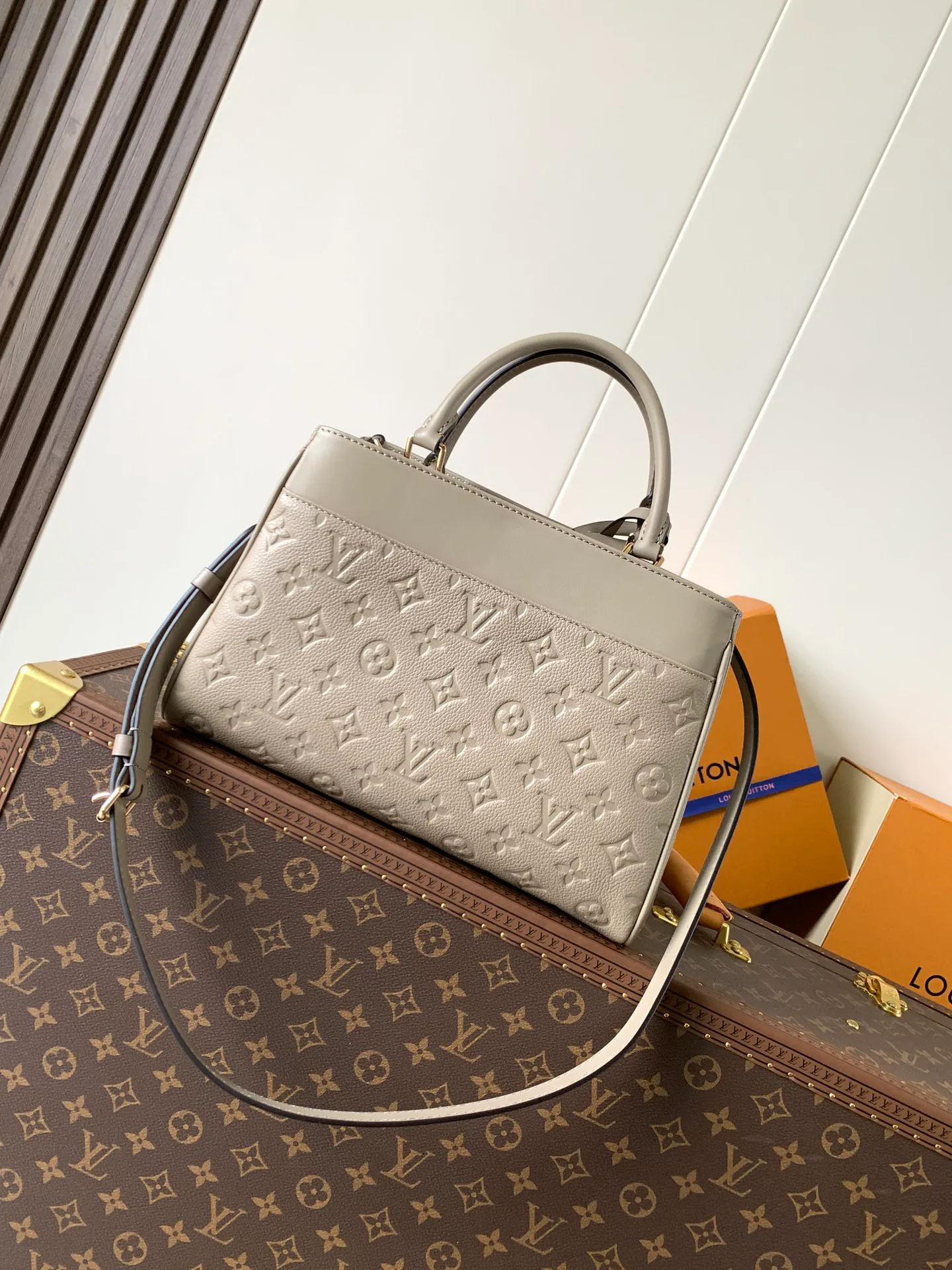 Классические Сумки Женские Louis Vuitton 17796558