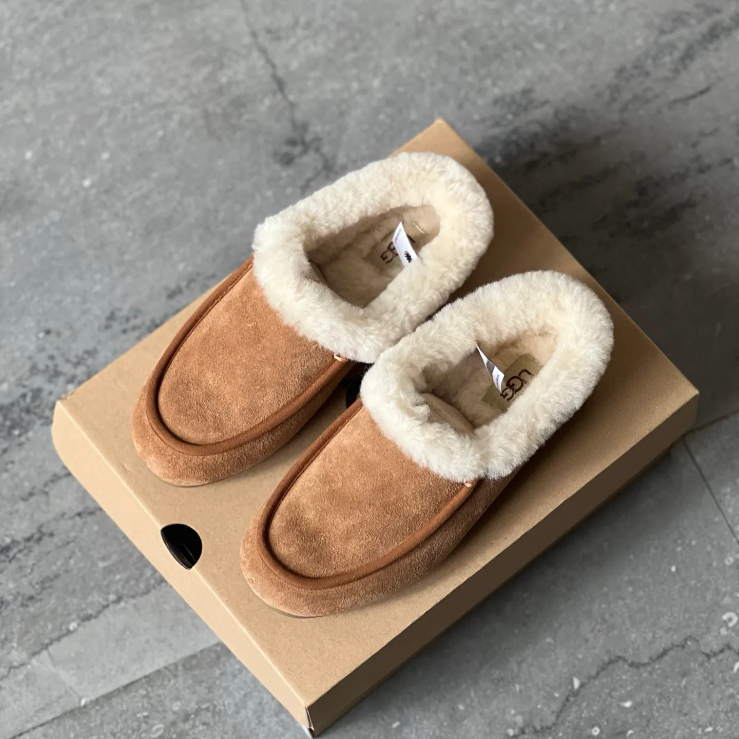 Угги Женские Ugg 500109
