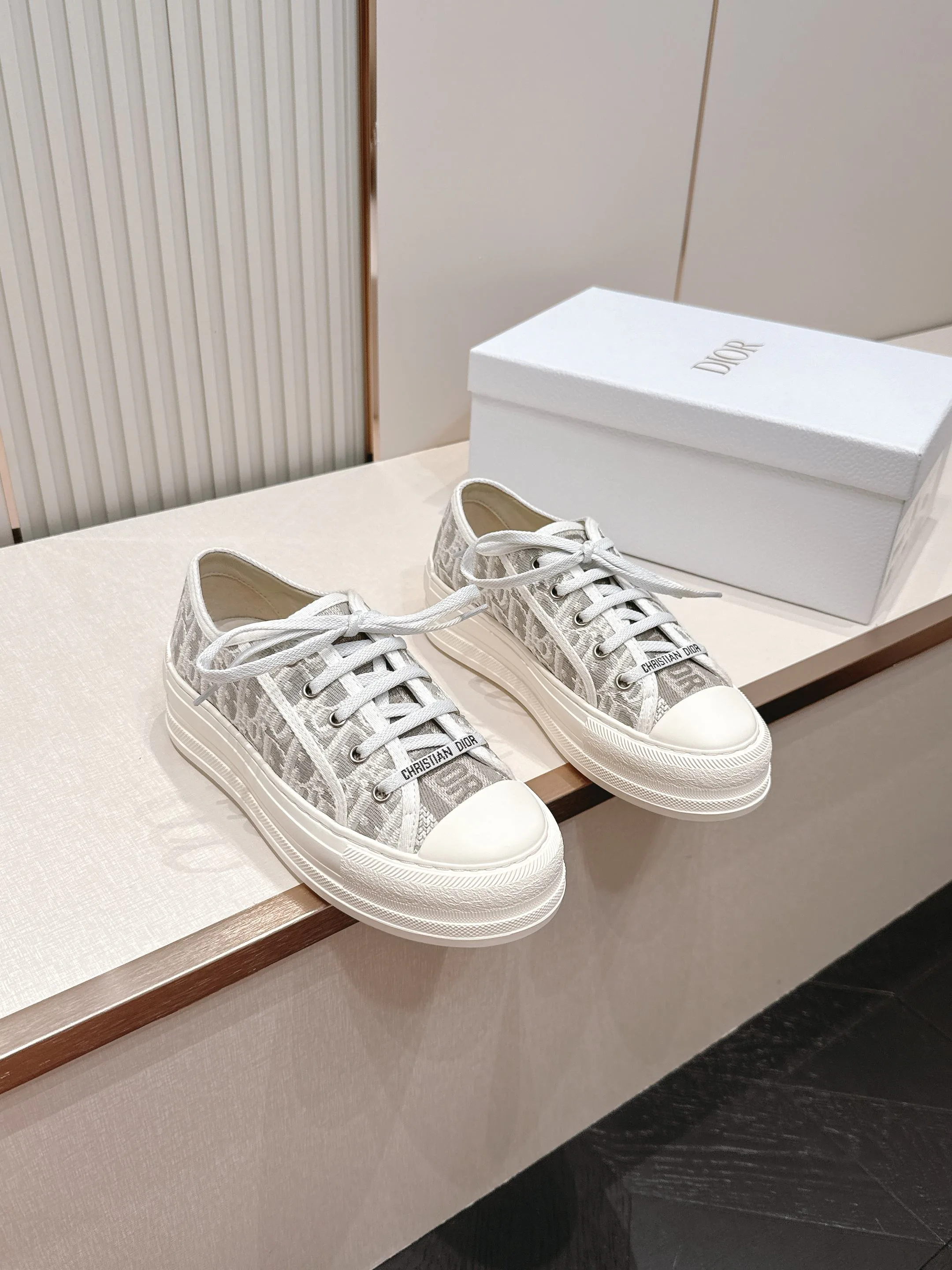 Кроссовки Женские Christian Dior 17411430