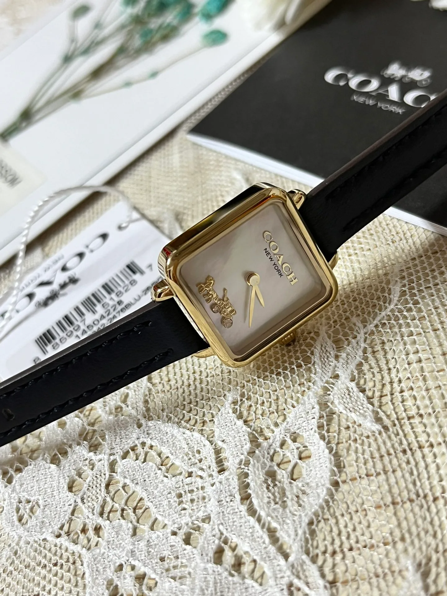 Часы Женские Coach 1288116