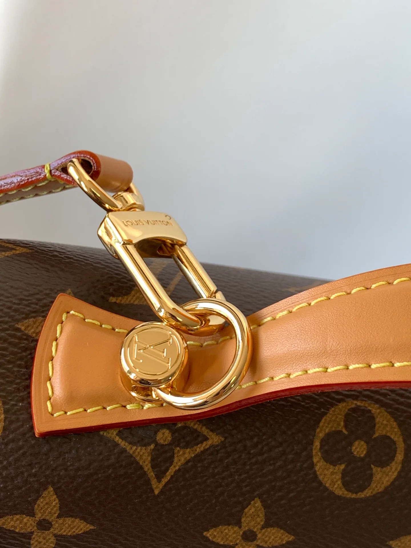 Сумки На Ремне Женские Louis Vuitton 1253938