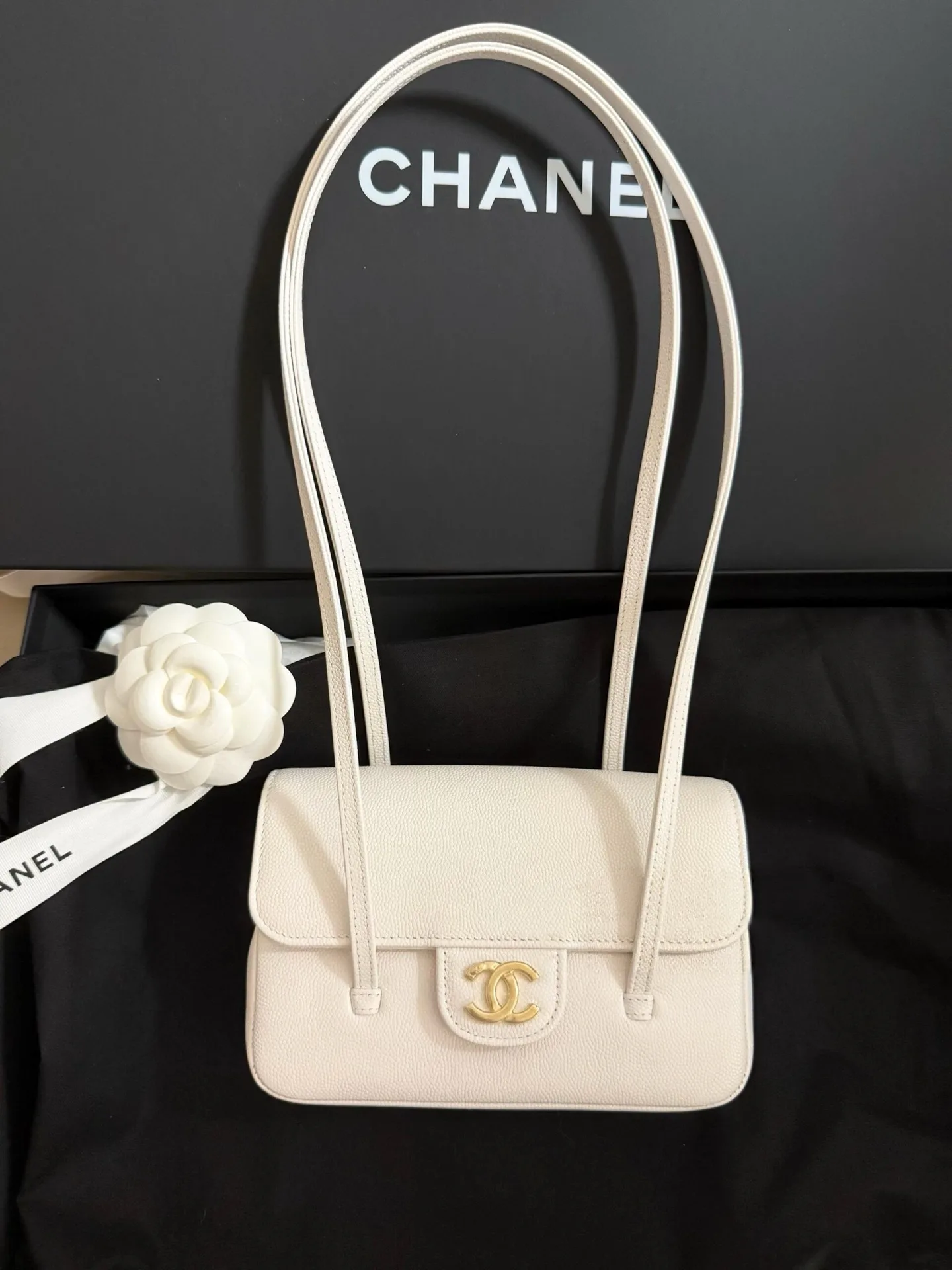 Классические Сумки Женские Chanel 11470018