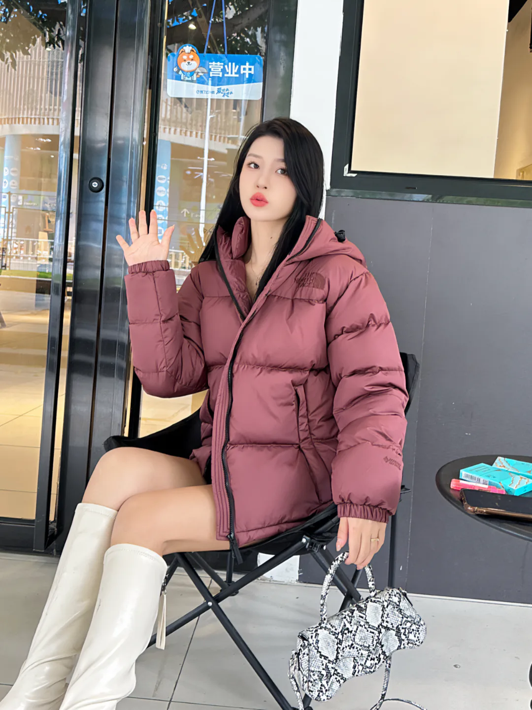 Куртки И Пуховики Женские The North Face 18416073