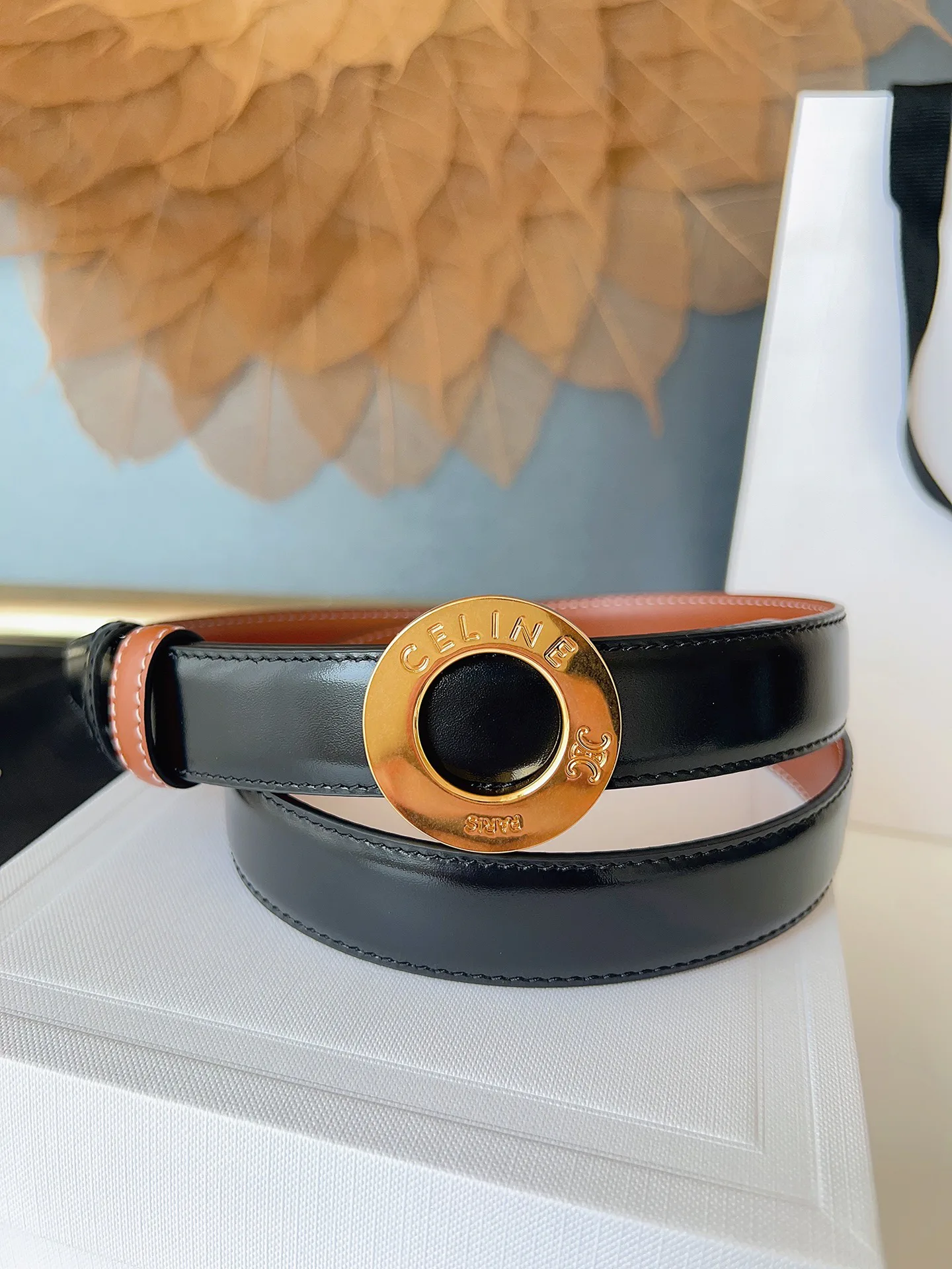 Поясные Сумки Женские Celine 11886348