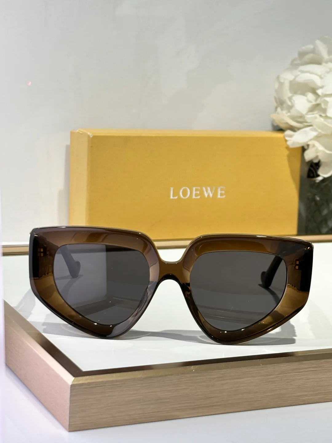 Очки Loewe 812314