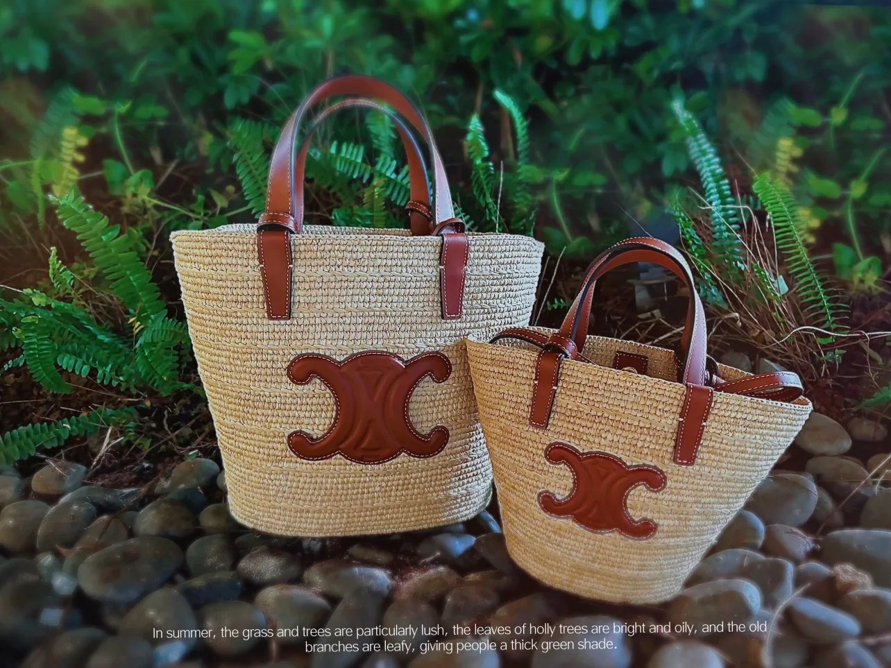 Классические Сумки Женские Celine 9835536