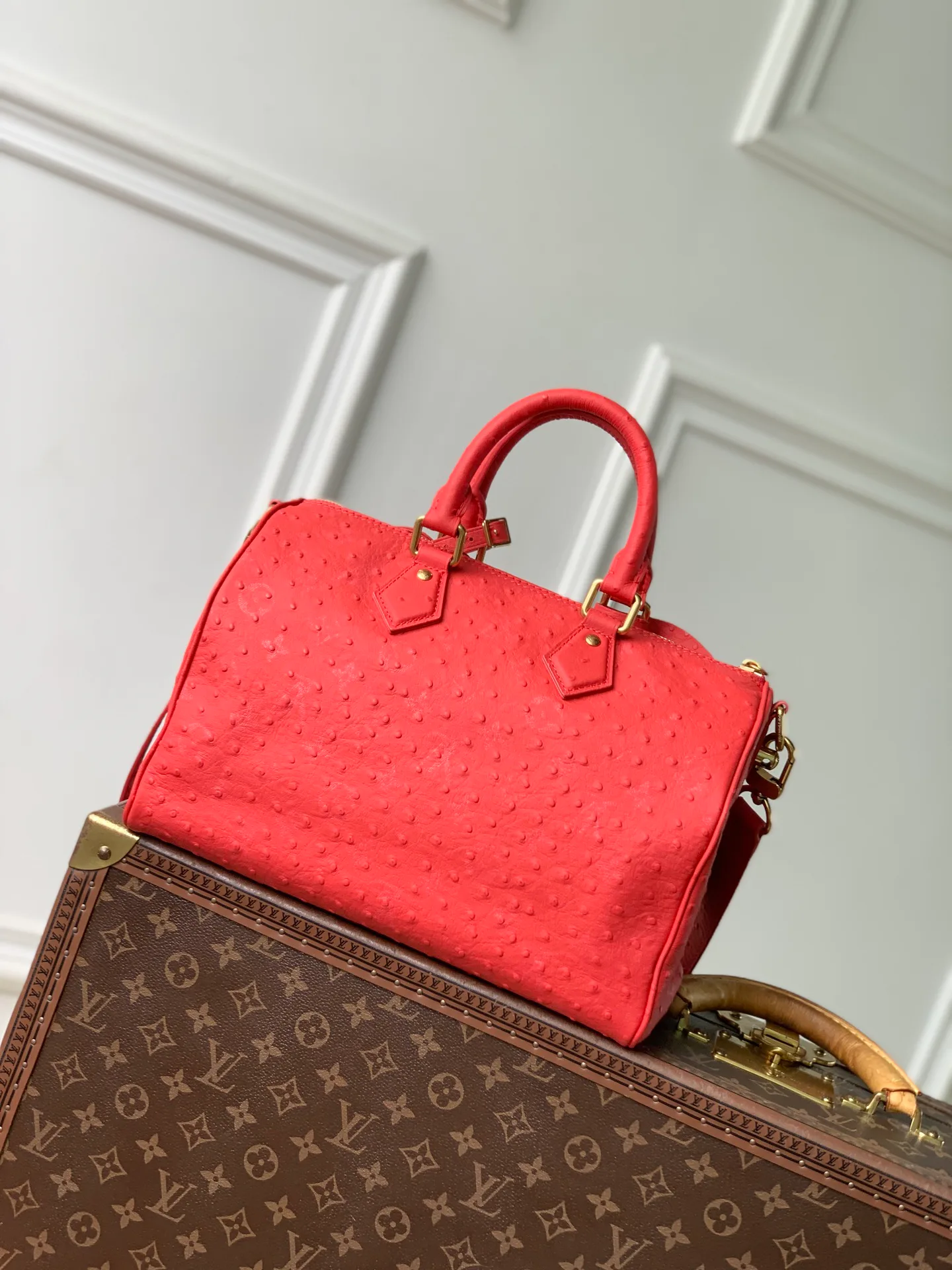 Классические Сумки Женские Louis Vuitton 18147439