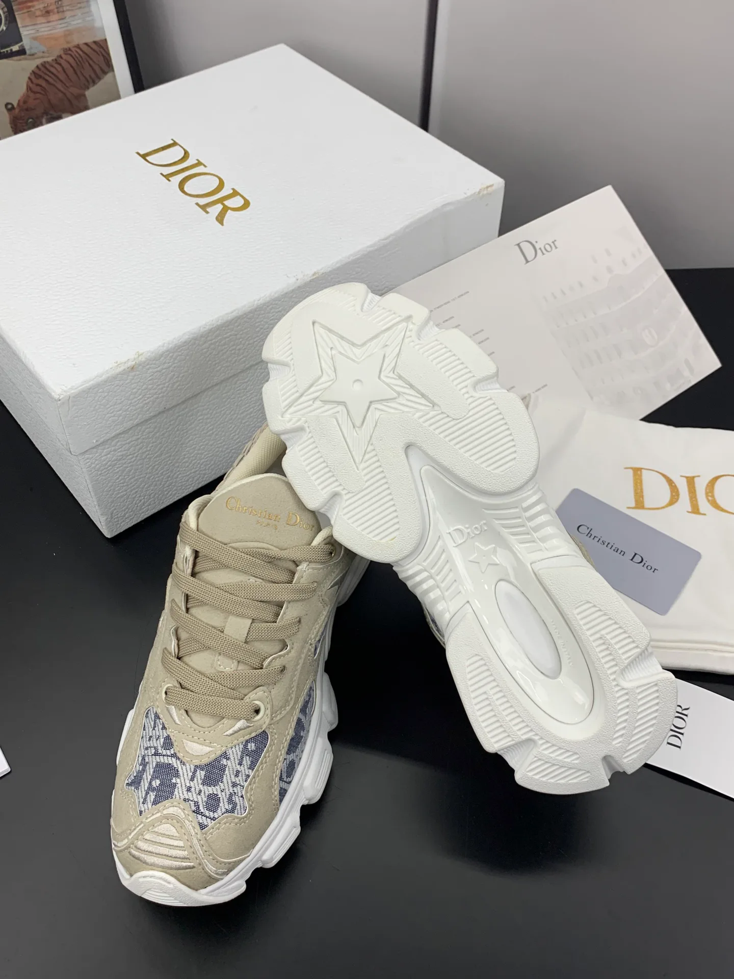 Кроссовки Женские Christian Dior 17545284