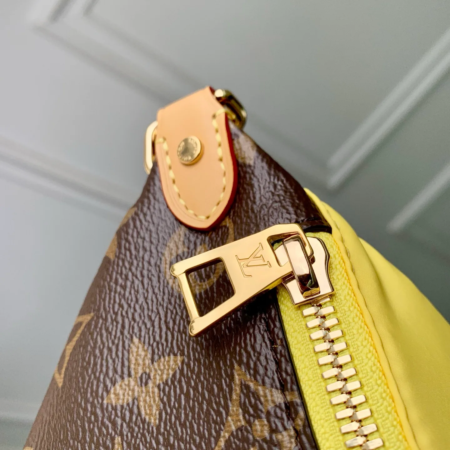 Поясные Сумки Женские Louis Vuitton 13833563