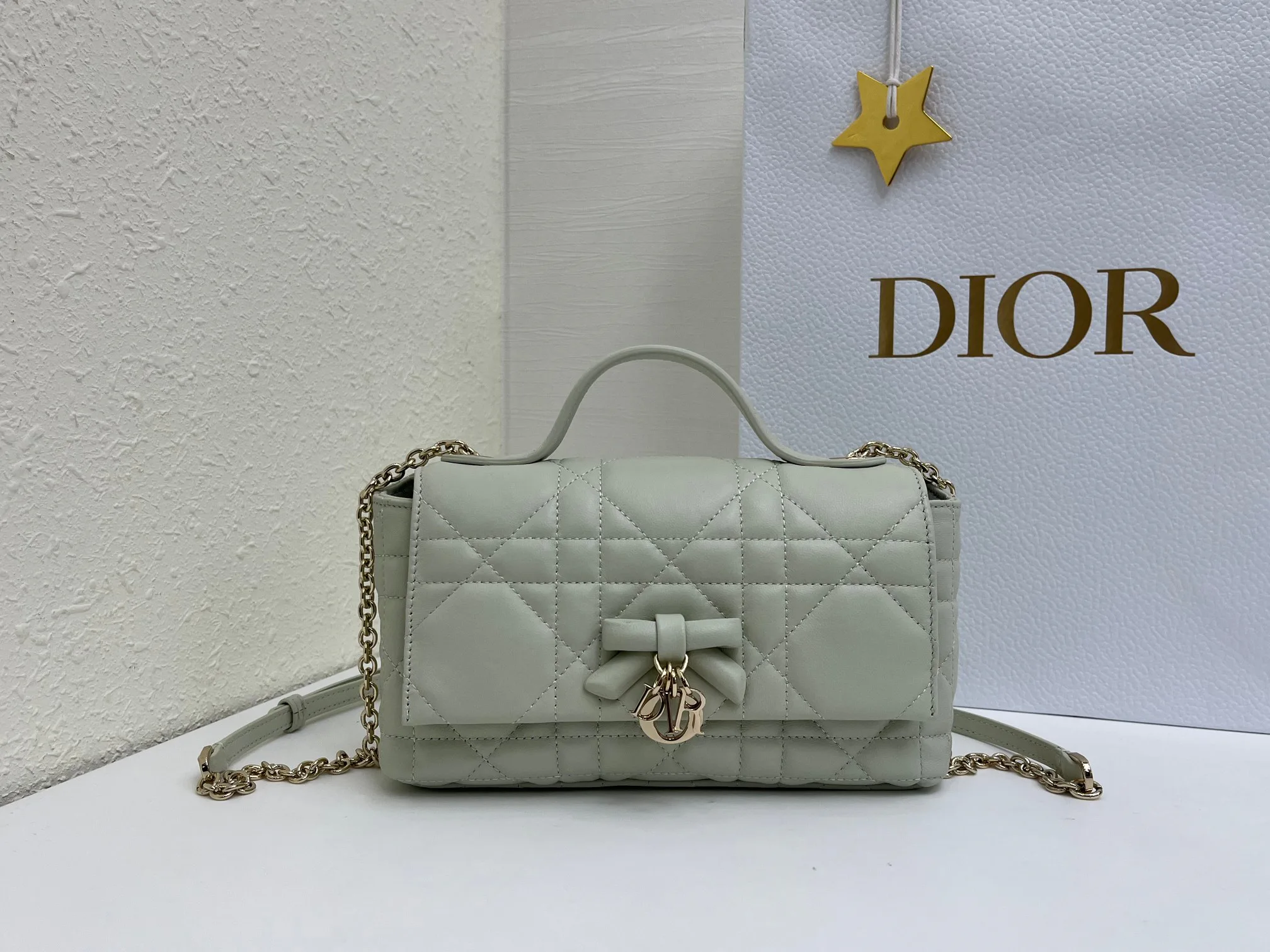 Классические Сумки Женские Christian Dior 17463906