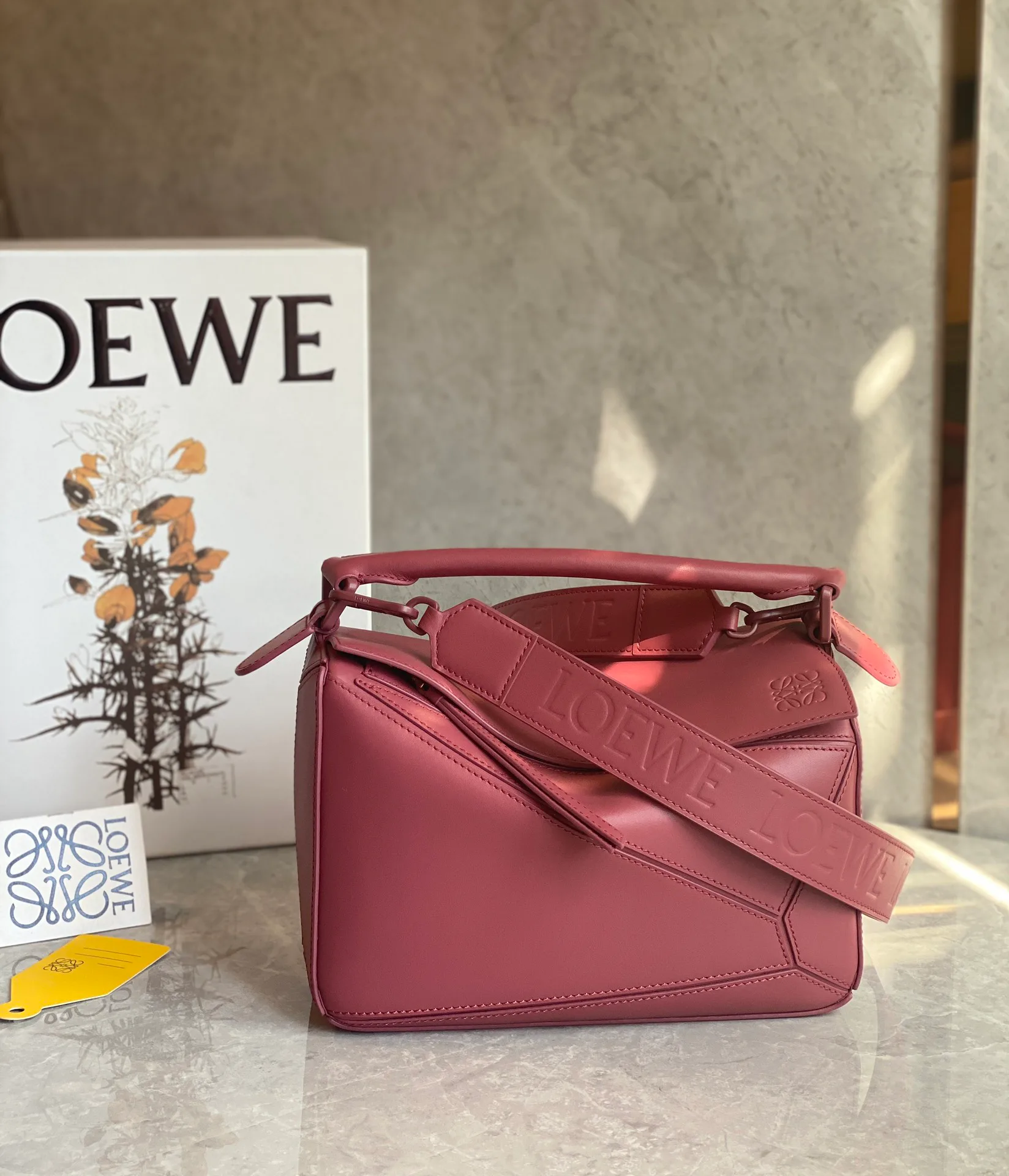 Классические Сумки Женские Loewe 10986849