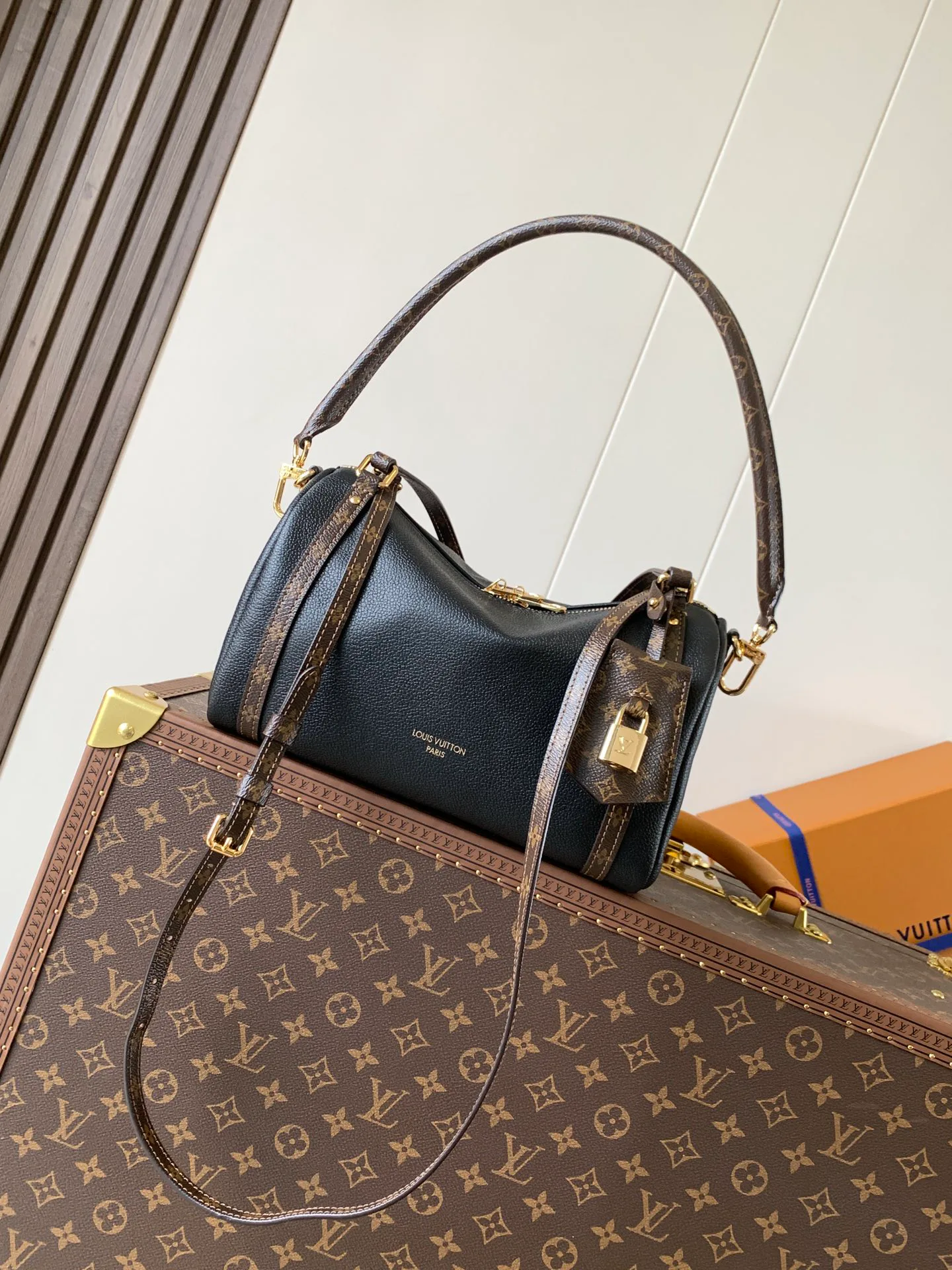 Классические Сумки Женские Louis Vuitton 11394897