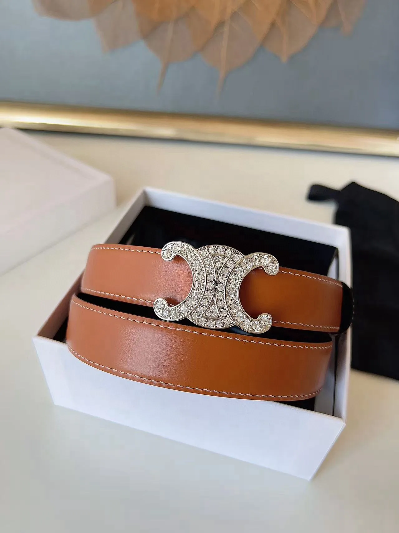 Поясные Сумки Женские Celine 11886353