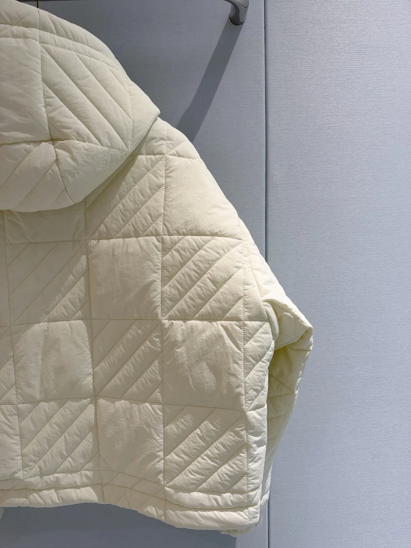 Куртки И Пуховики Женские Louis Vuitton 19503590