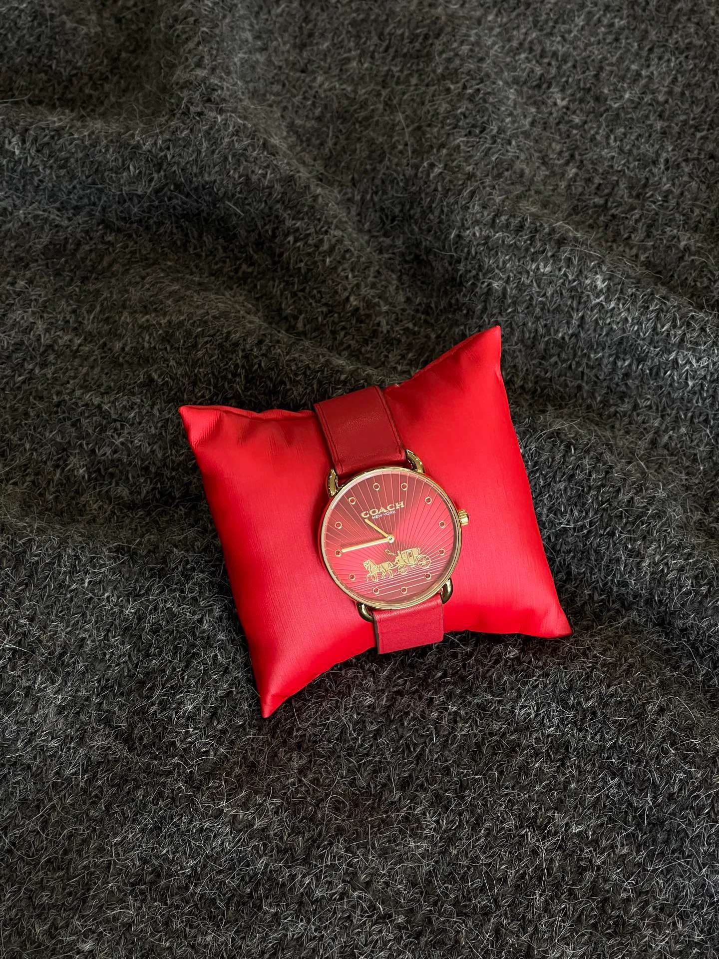 Часы Женские Coach 3409378