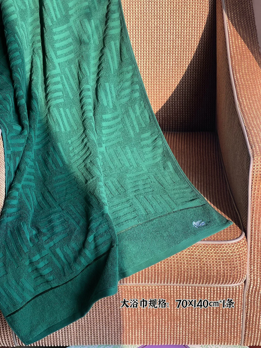 Текстиль Etro 11255004