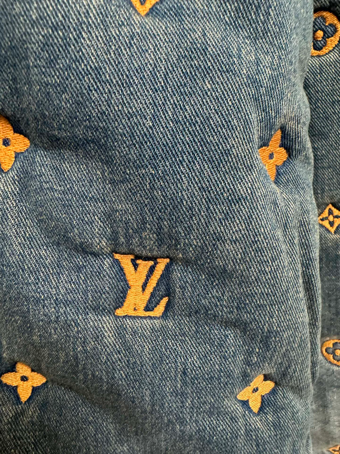 Куртки И Пуховики Мужские Louis Vuitton 17420958