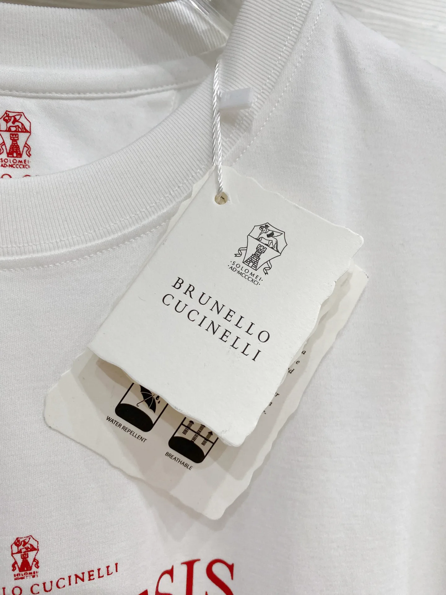 Футболки Мужские Brunello Cucinelli 13147676