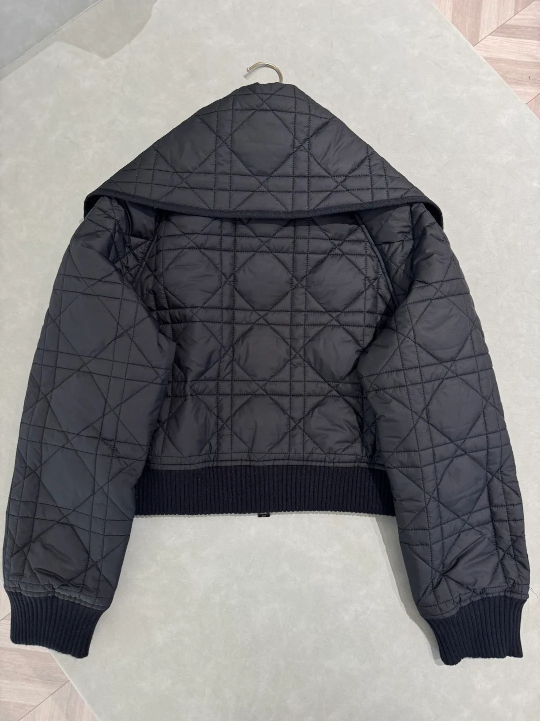 Куртки И Пуховики Женские Christian Dior 78675