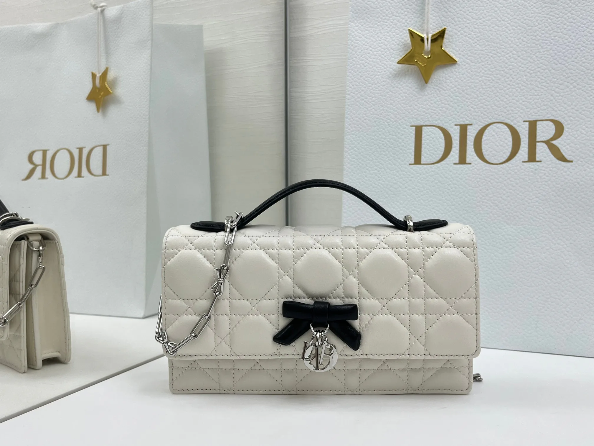 Классические Сумки Женские Christian Dior 11669075