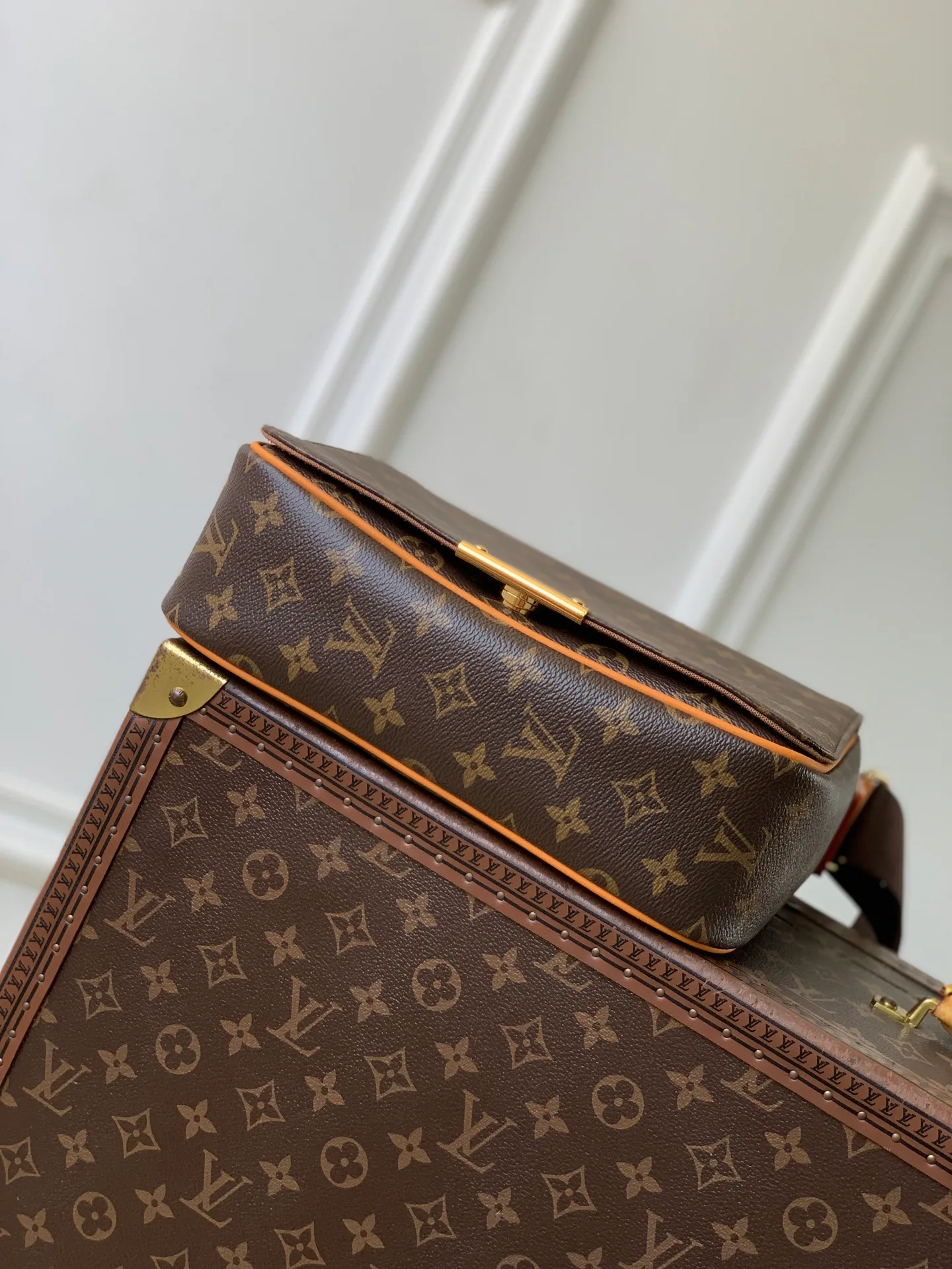 Классические Сумки Женские Louis Vuitton 18147473