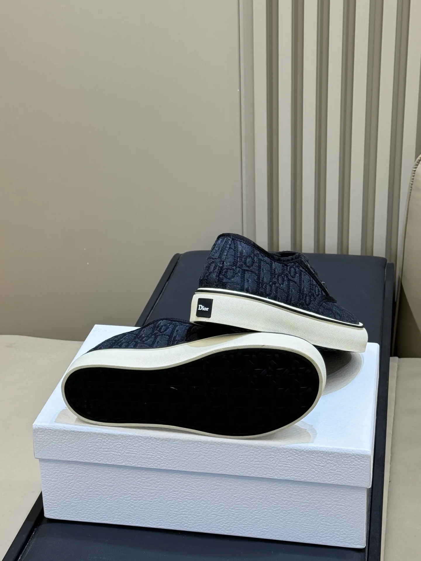 Кеды Женские Christian Dior 11601065