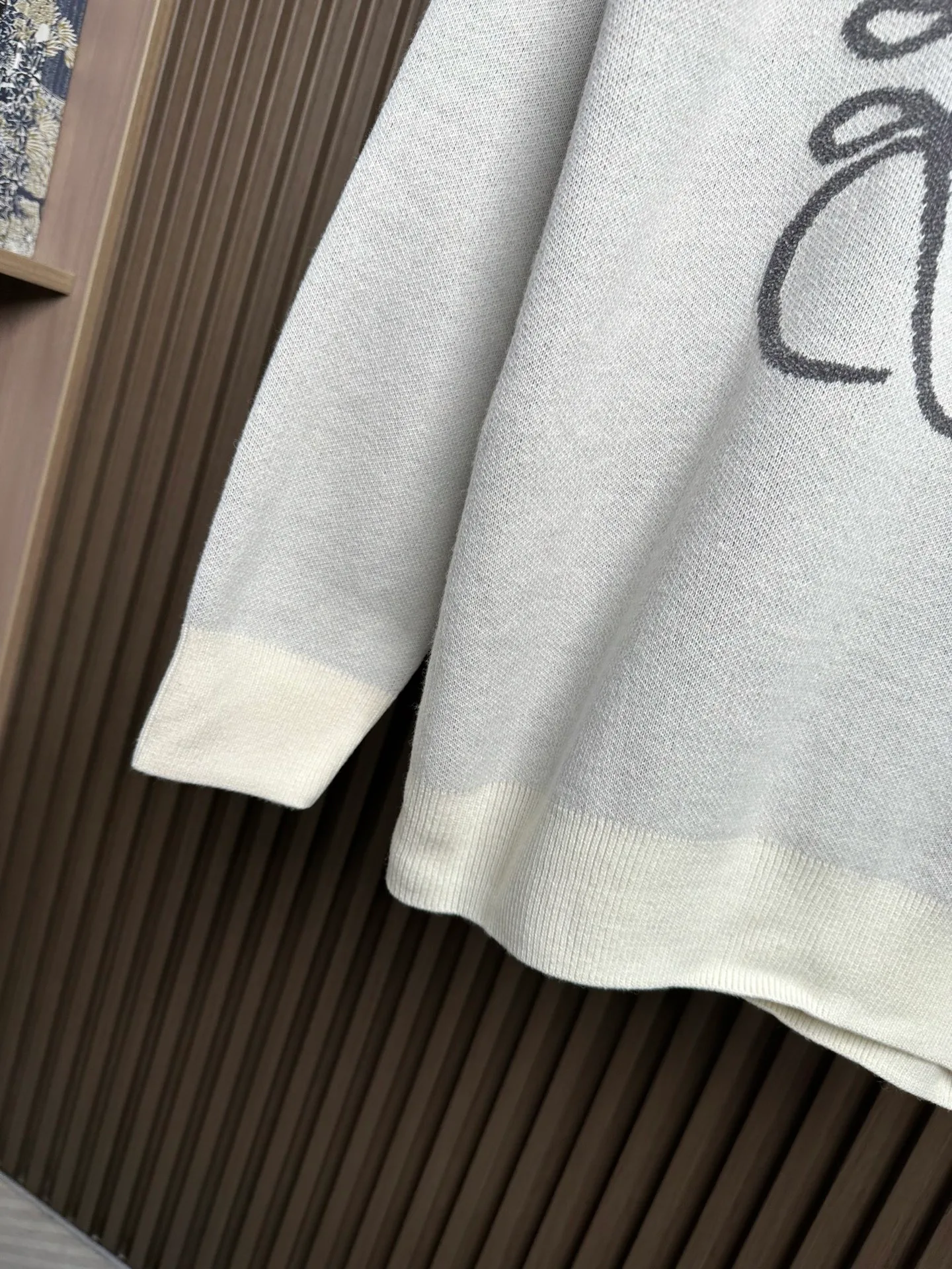 Куртки И Пуховики Мужские Loewe 235536