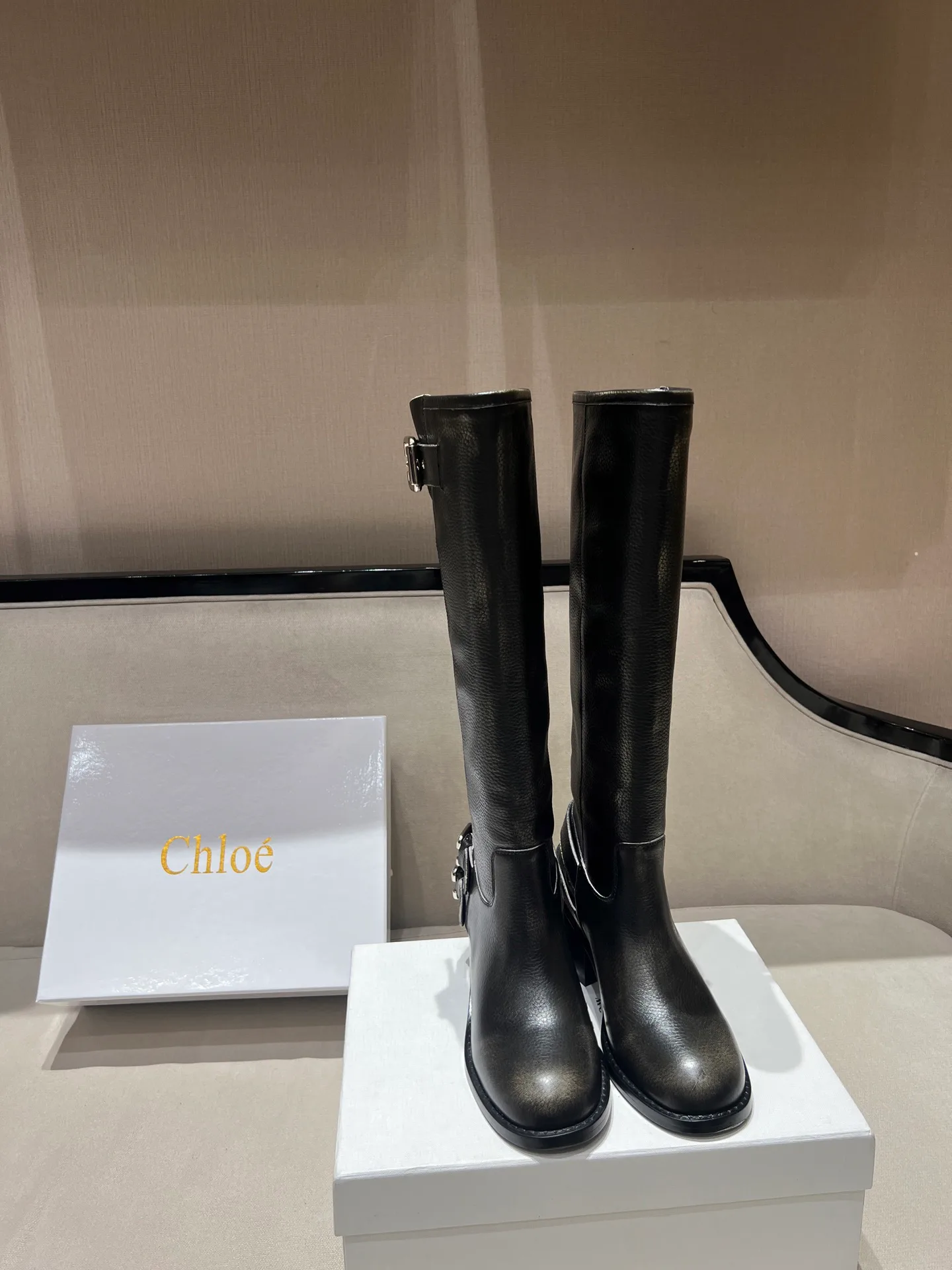 Сапоги Женские Chloe 18020165