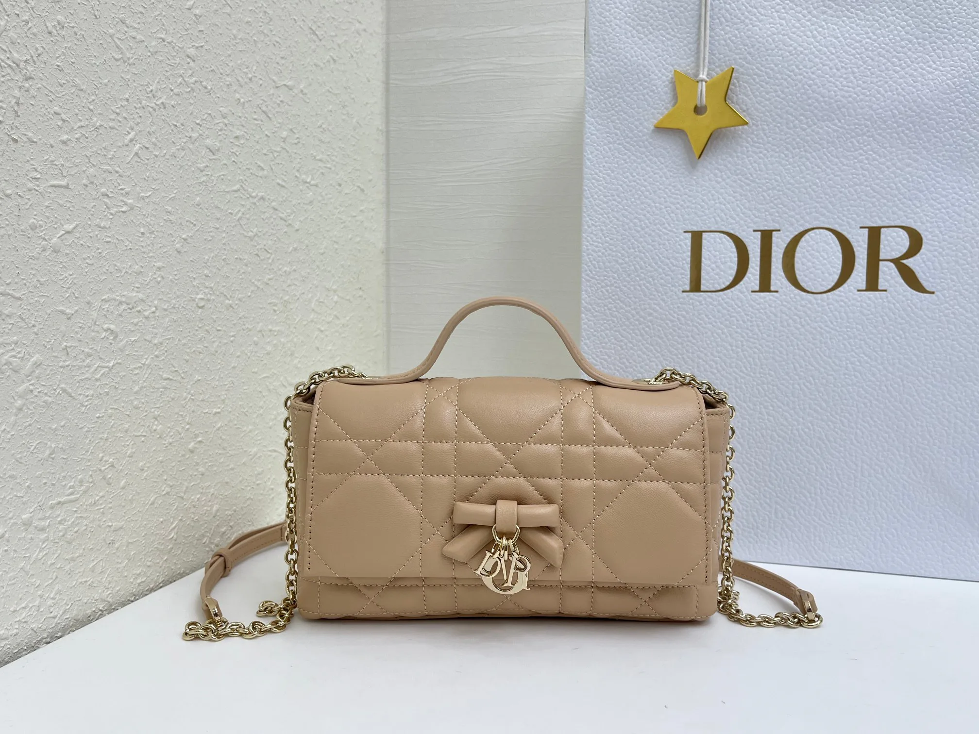 Классические Сумки Женские Christian Dior 17463901