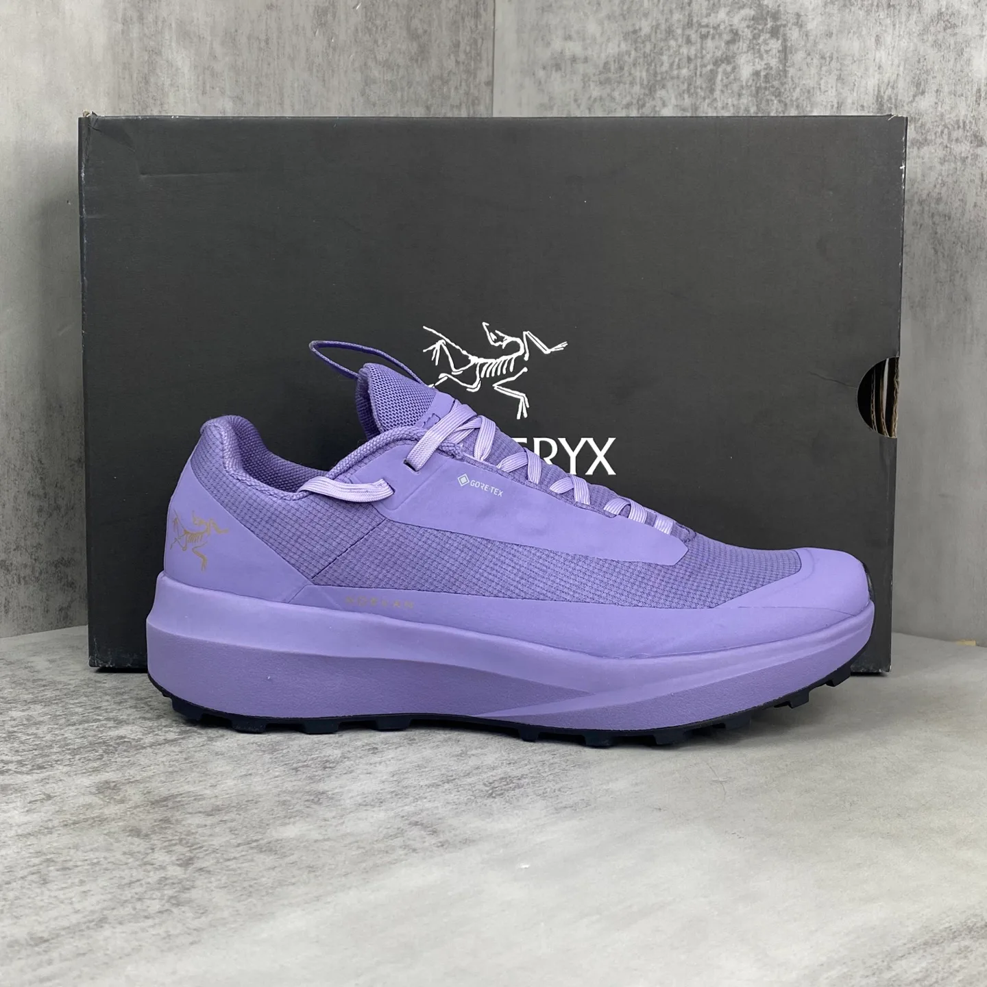 Кроссовки Мужские Arcteryx 17819905