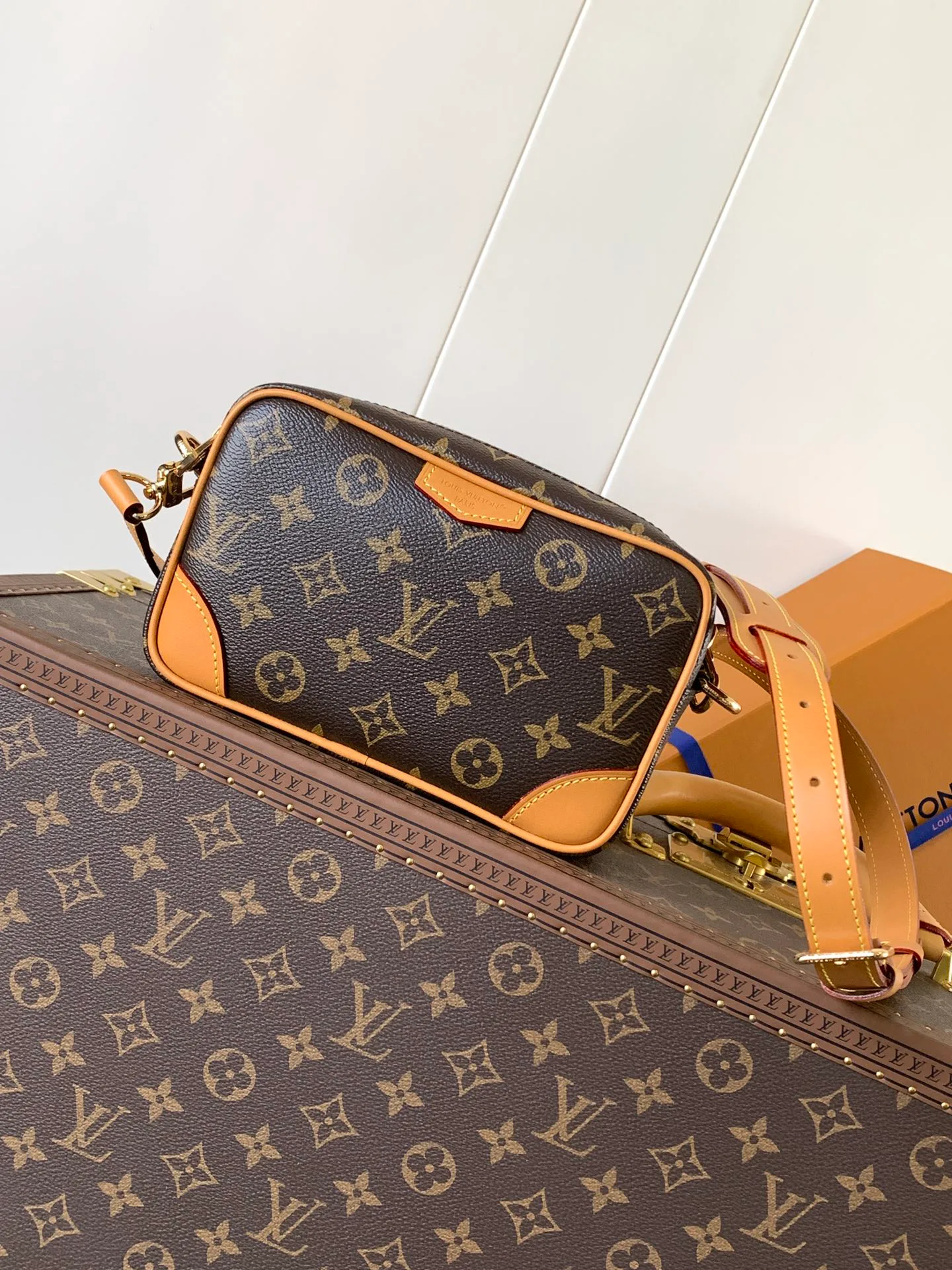 Сумки На Ремне Женские Louis Vuitton 3885417