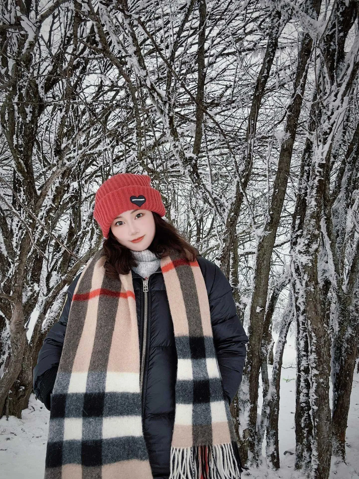 Шарфы Burberry 3969