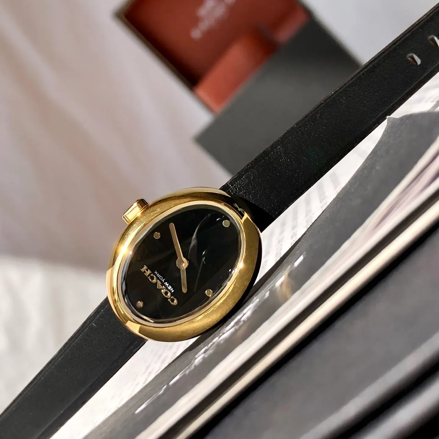 Часы Женские Coach 449051