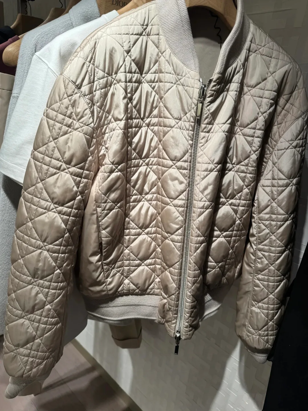 Куртки И Пуховики Мужские Christian Dior 1270781