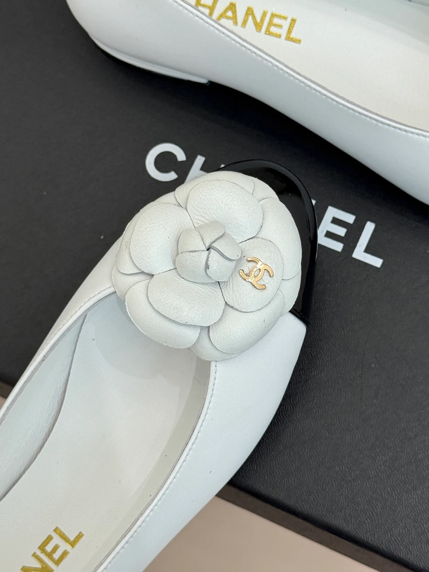 Балетки Женские Chanel 17741087