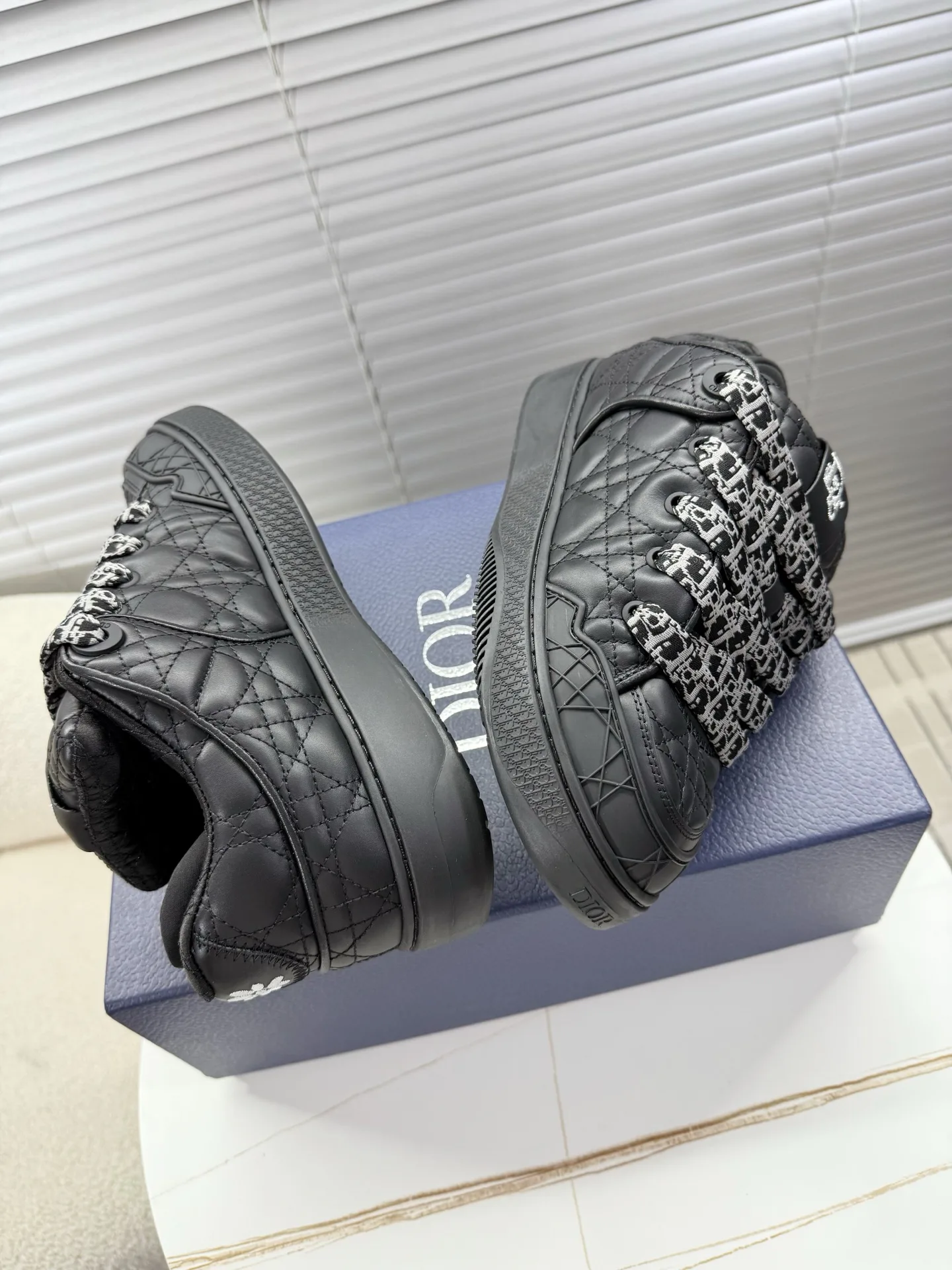 Кроссовки Мужские Christian Dior 3676397