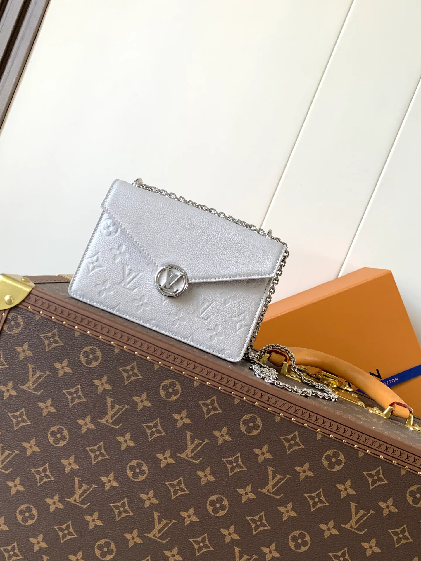 Клатчи Женские Louis Vuitton 11152602