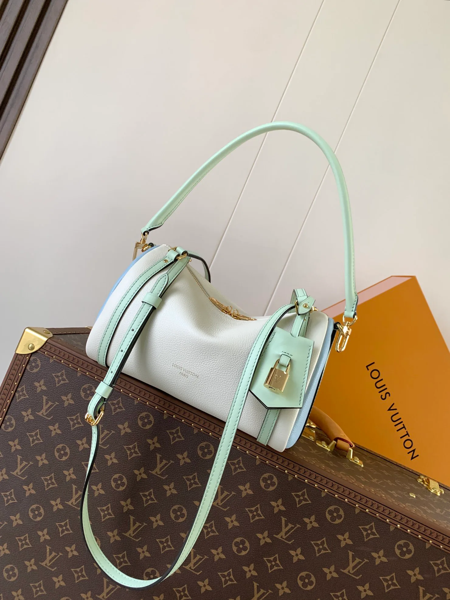 Классические Сумки Женские Louis Vuitton 11394895