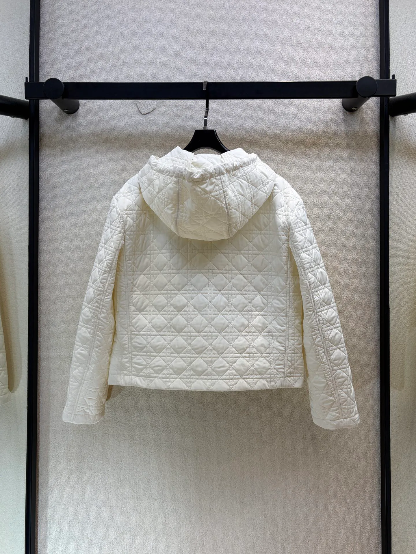 Куртки И Пуховики Женские Christian Dior 18203482