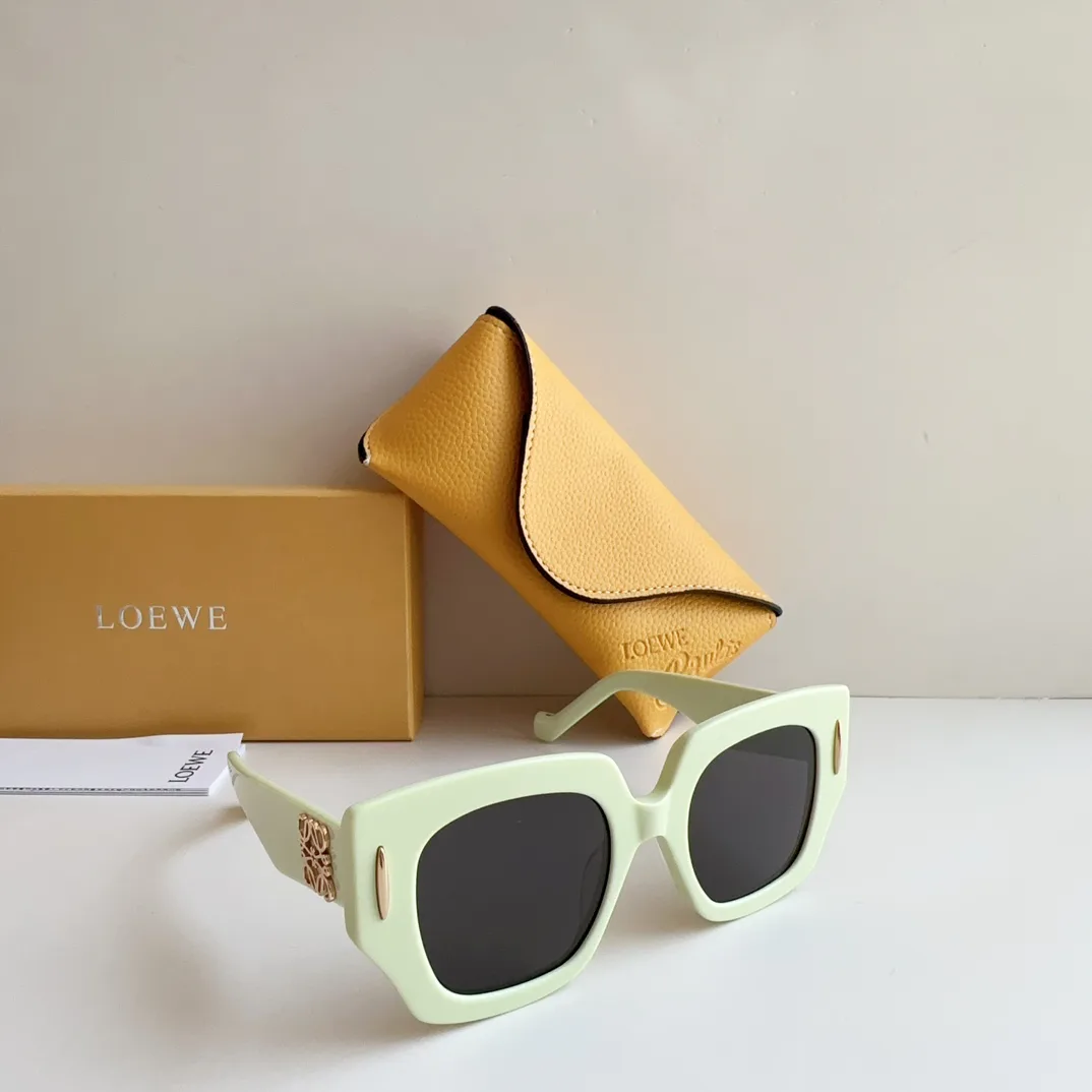 Очки Loewe 25052