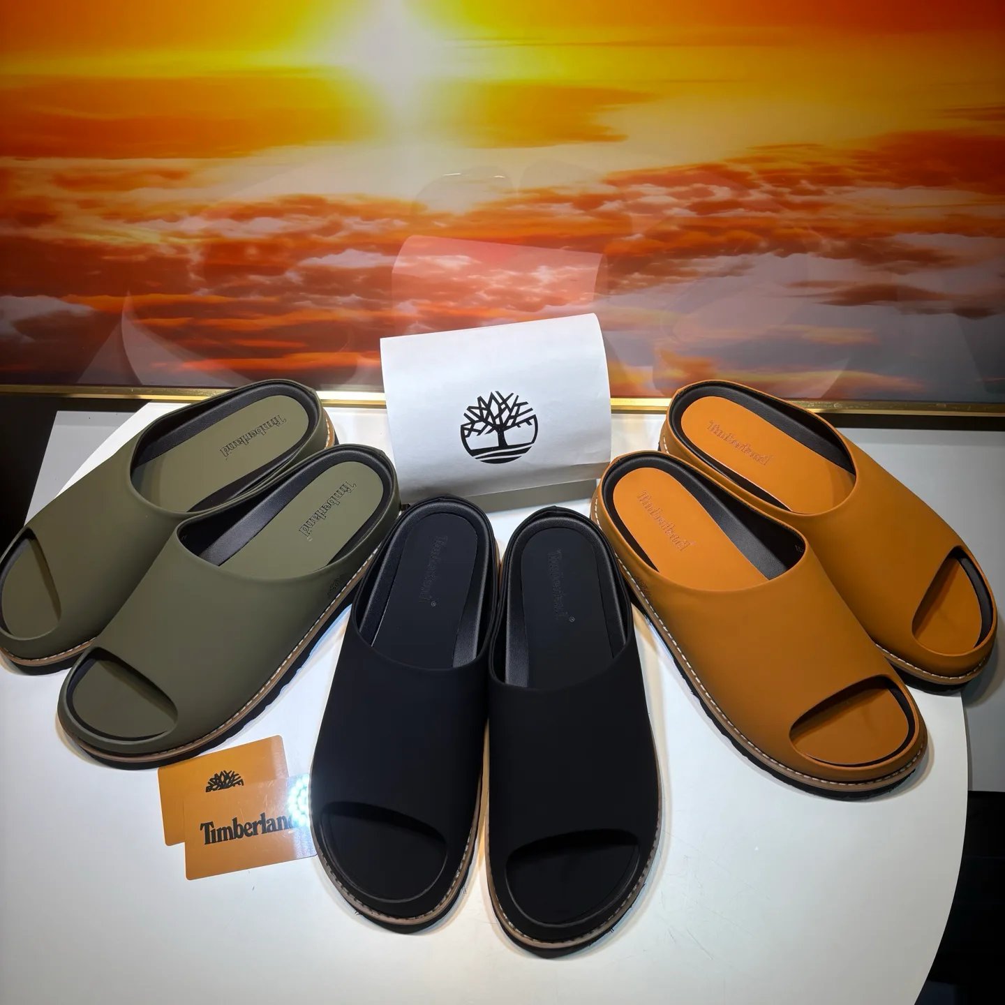 Шлепанцы Мужские Timberland 17955630