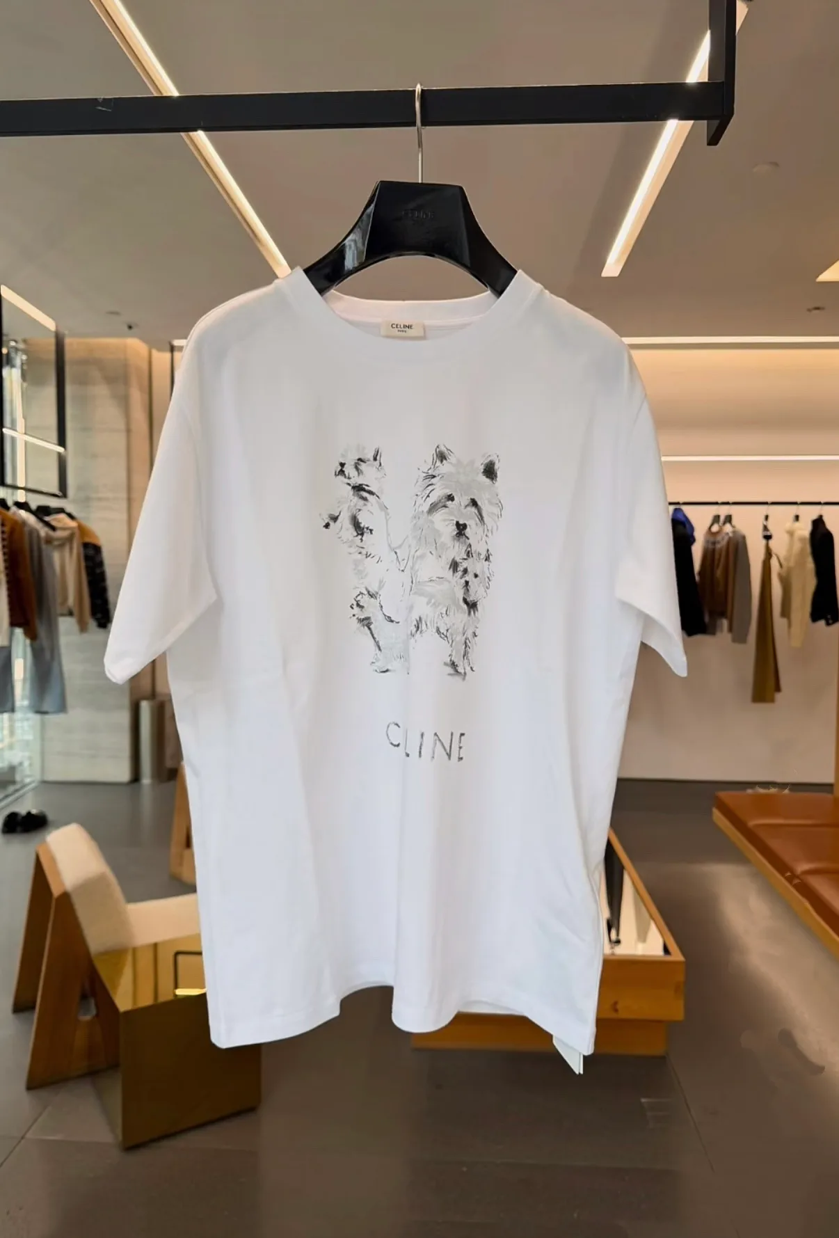 Футболки Женские Celine 526893