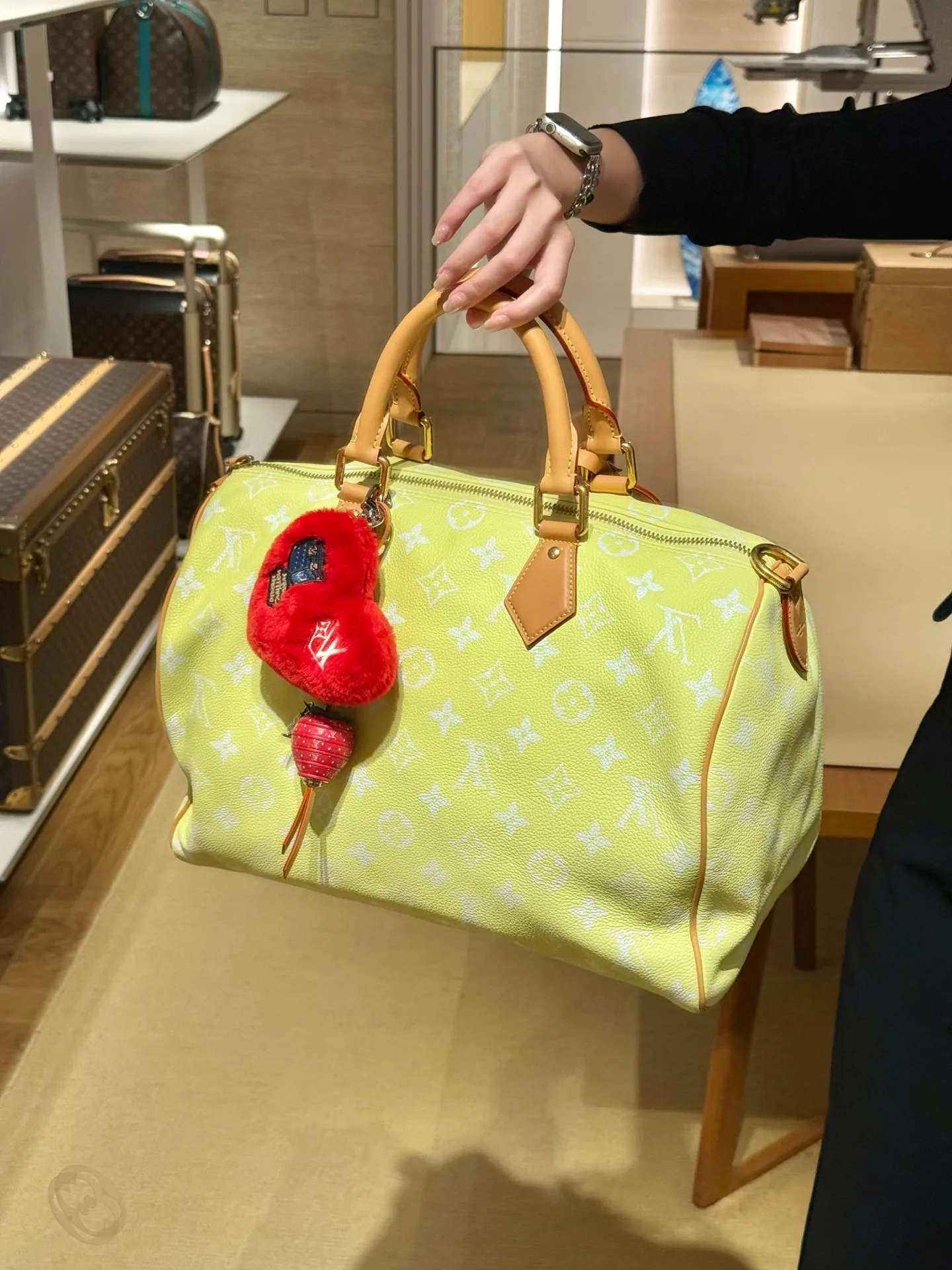 Ключницы Louis Vuitton 1255902