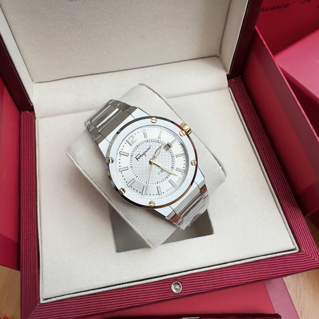 Часы Мужские Salvatore Ferragamo 1284234