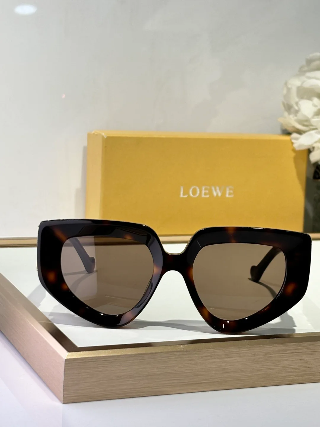 Очки Loewe 812314