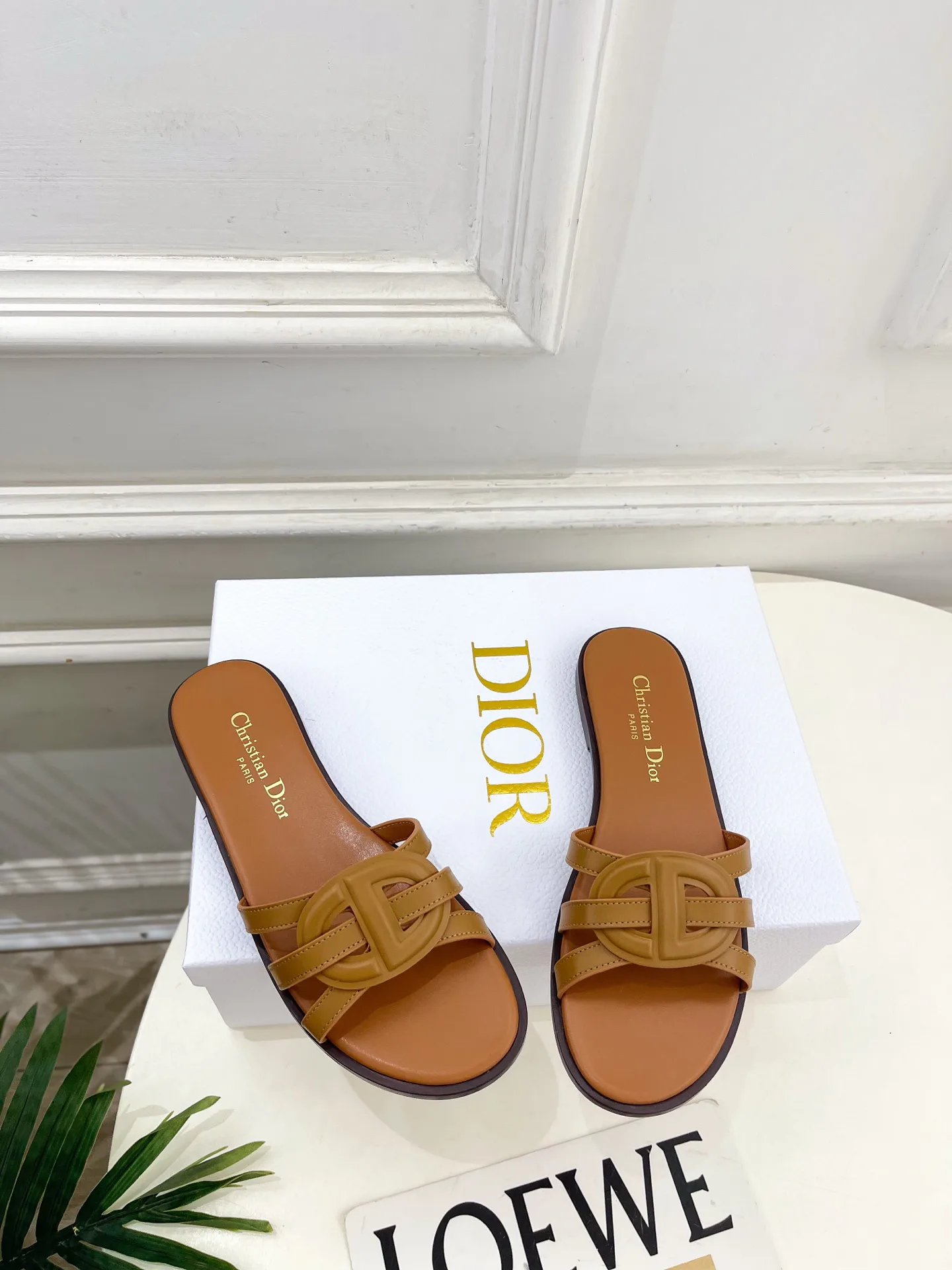 Туфли Женские Christian Dior 12601460