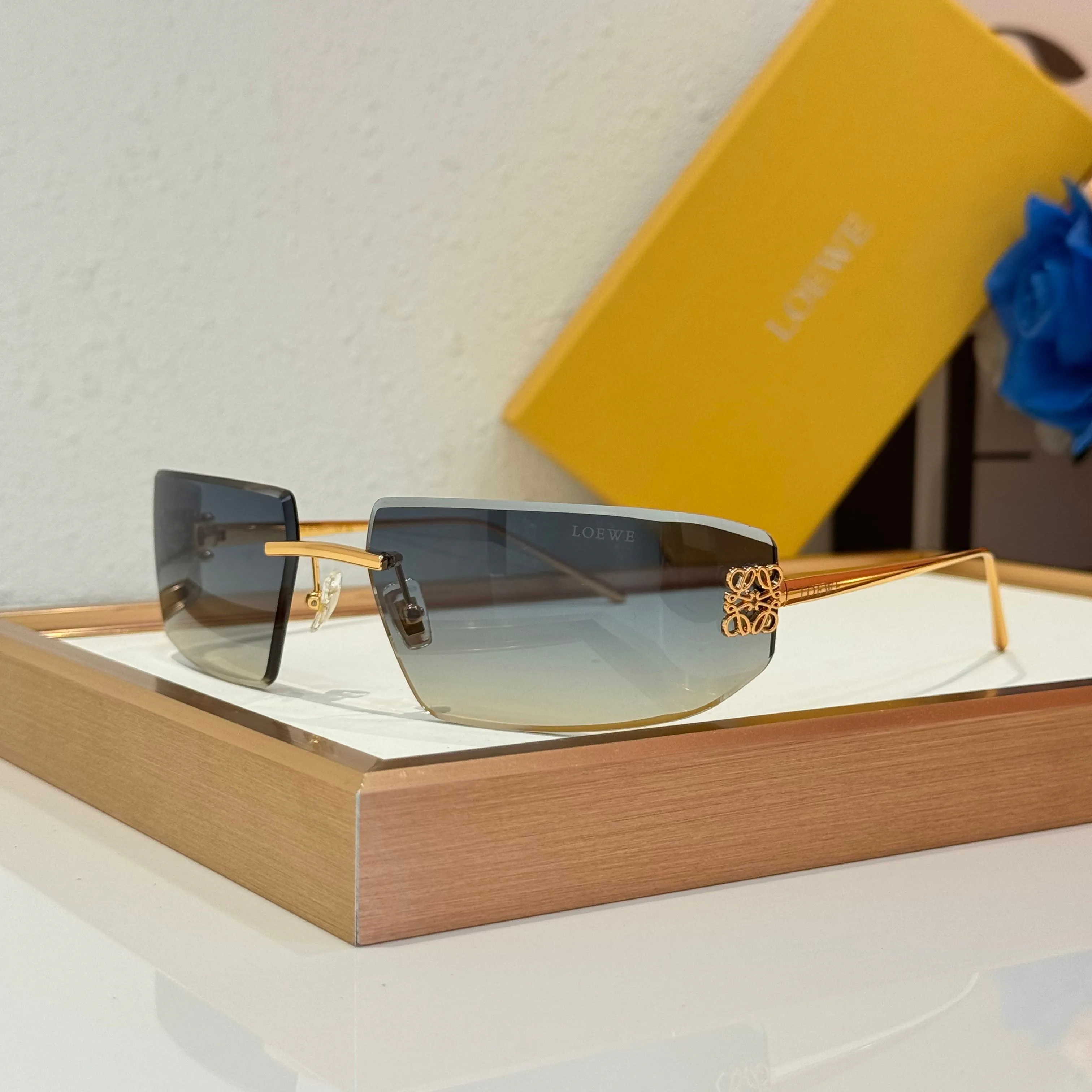 Очки Loewe 113161