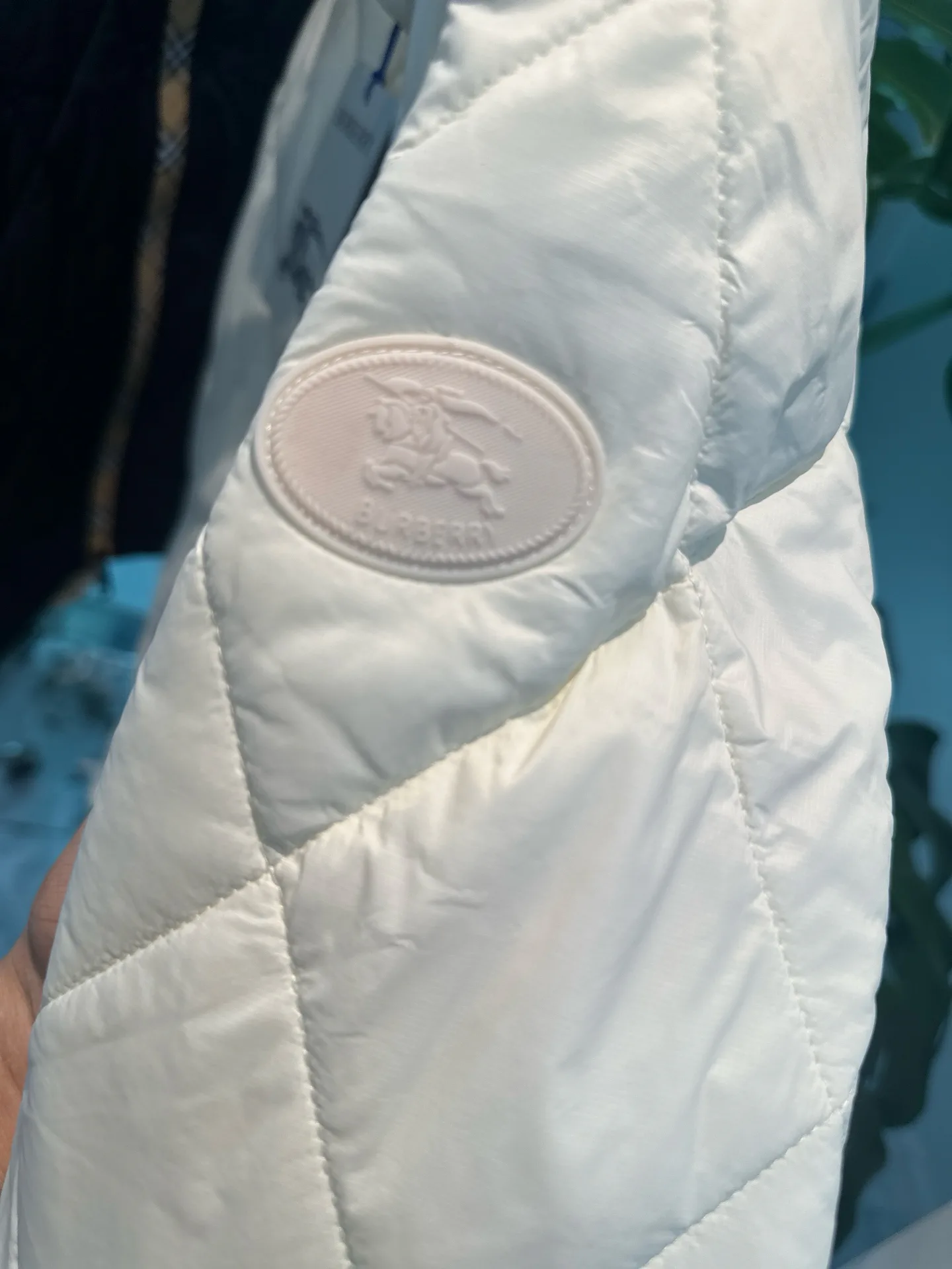 Куртки И Пуховики Женские Burberry 18334028