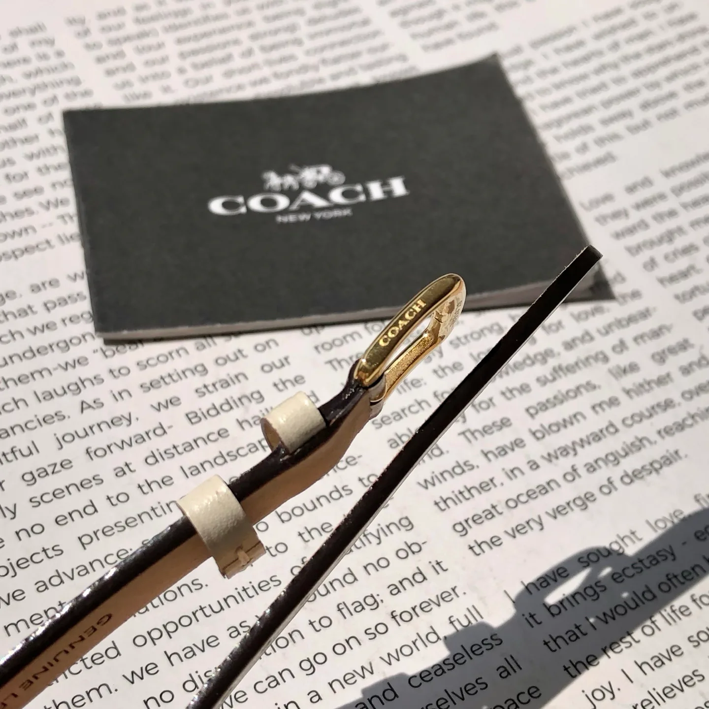 Часы Женские Coach 449050