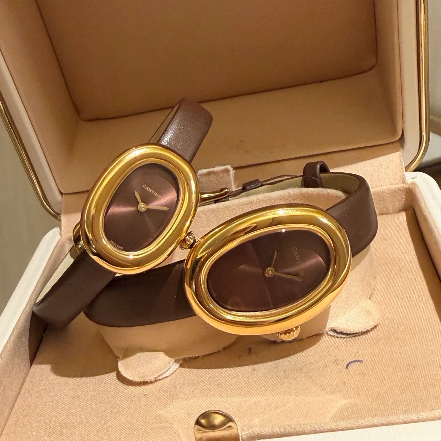 Часы Женские Cartier 691848